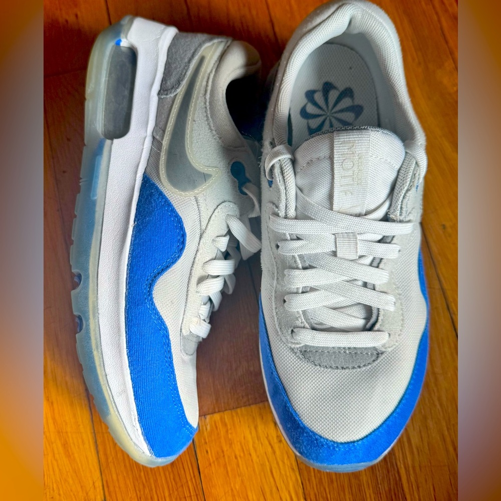 Nike Air Max Blue and Gray Sneakers